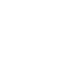 White Logo